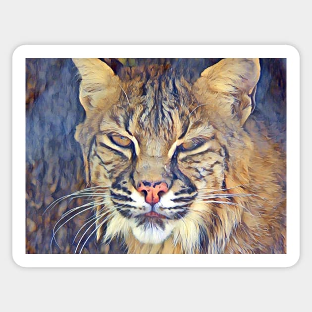 Bobcat Sticker by Sharonzoolady